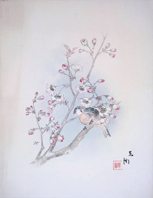 Bird Among Cherry Blossoms - Original Ink Painting