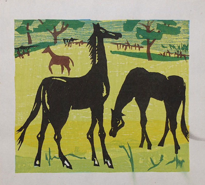 Shiro Takagi - Horses