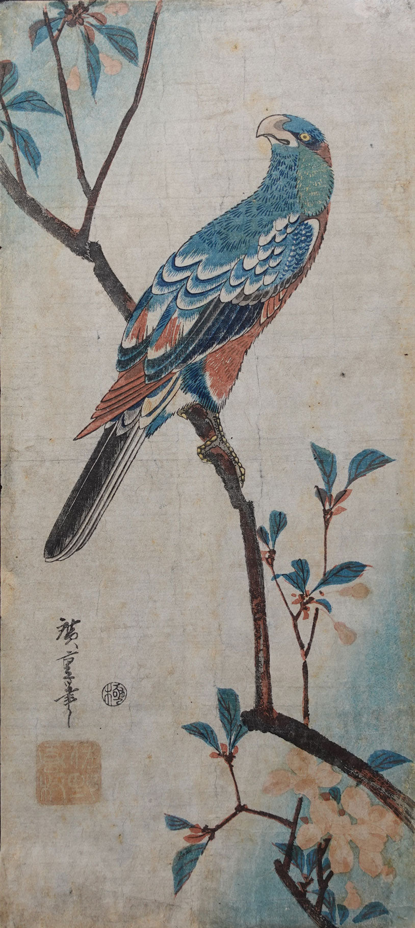 Hiroshige - Aronia and Parrot