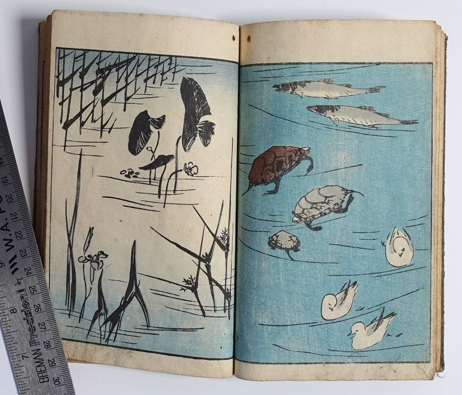 Hiroshige - E-hon