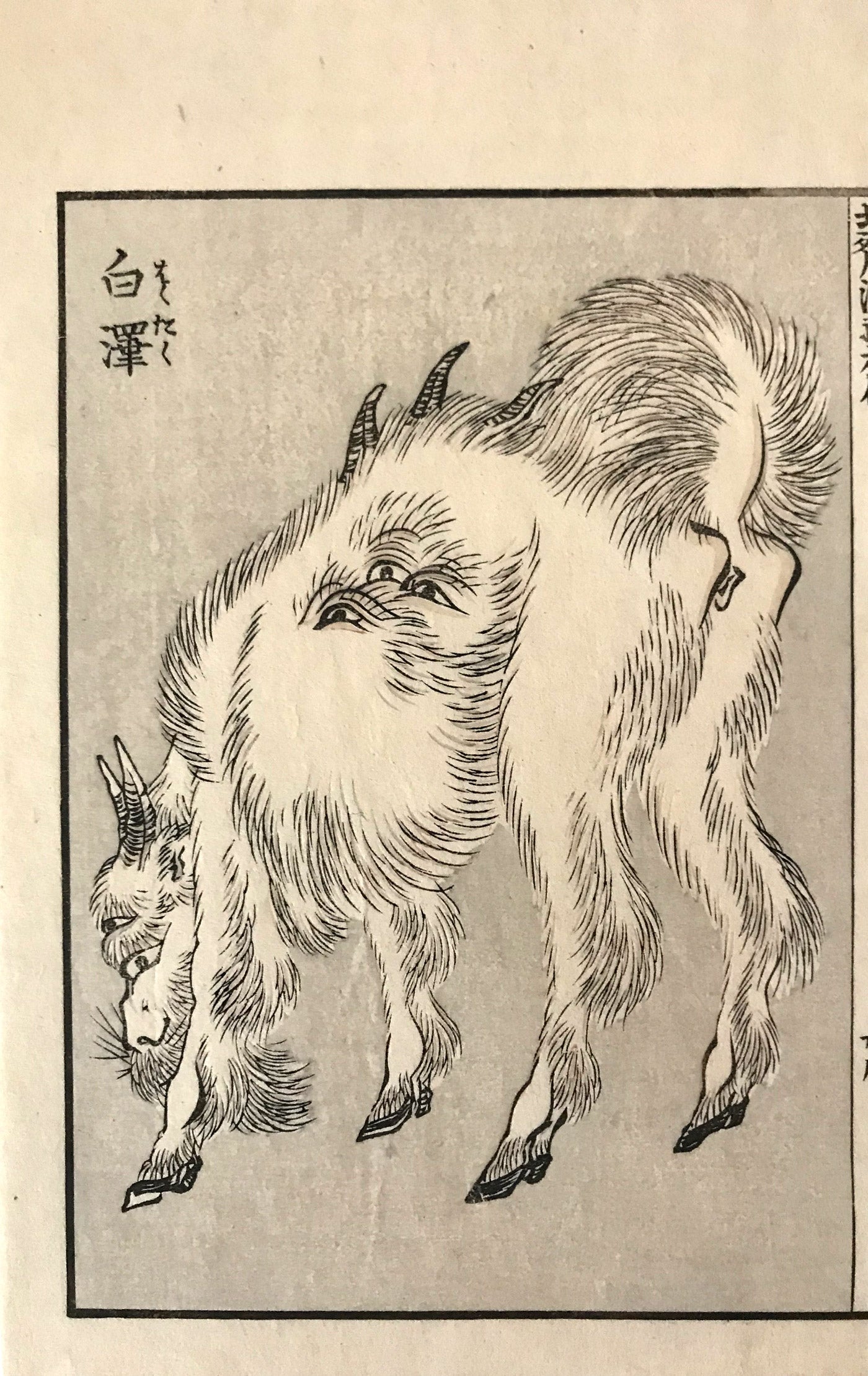 獏 ばく Baku 