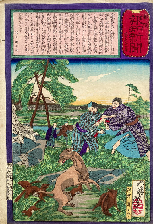 Badger Protects Its Cubs from Attack by a Dog