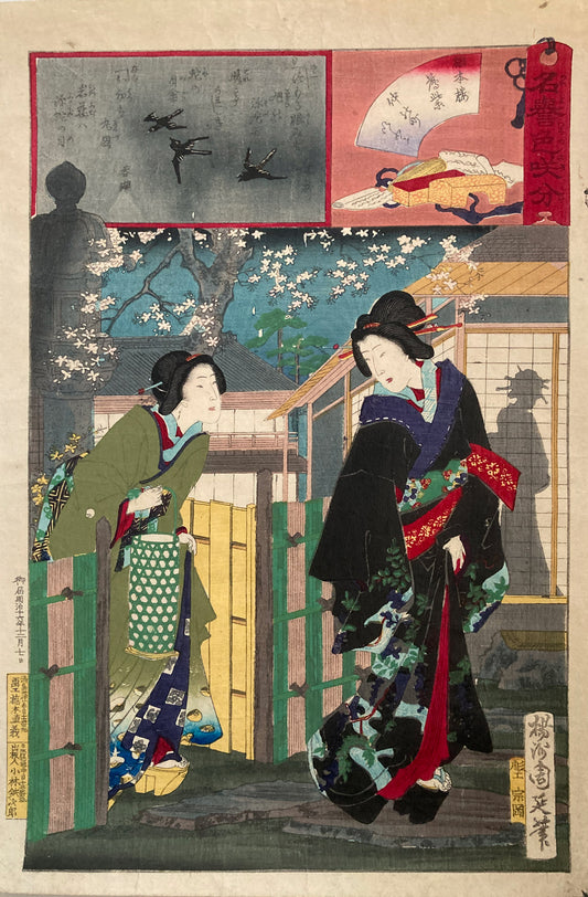 Fujimurasaki of Hashimoto-Ro