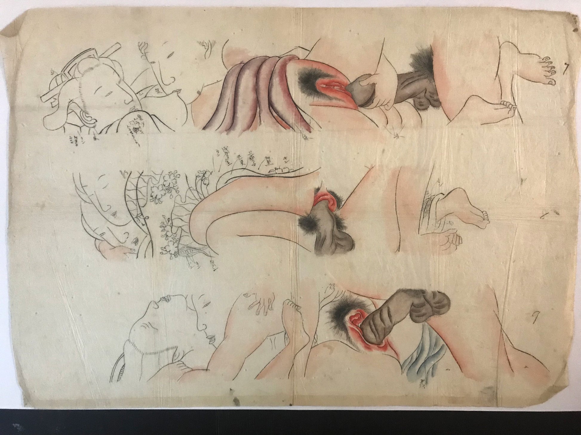 Shunga Color Guides