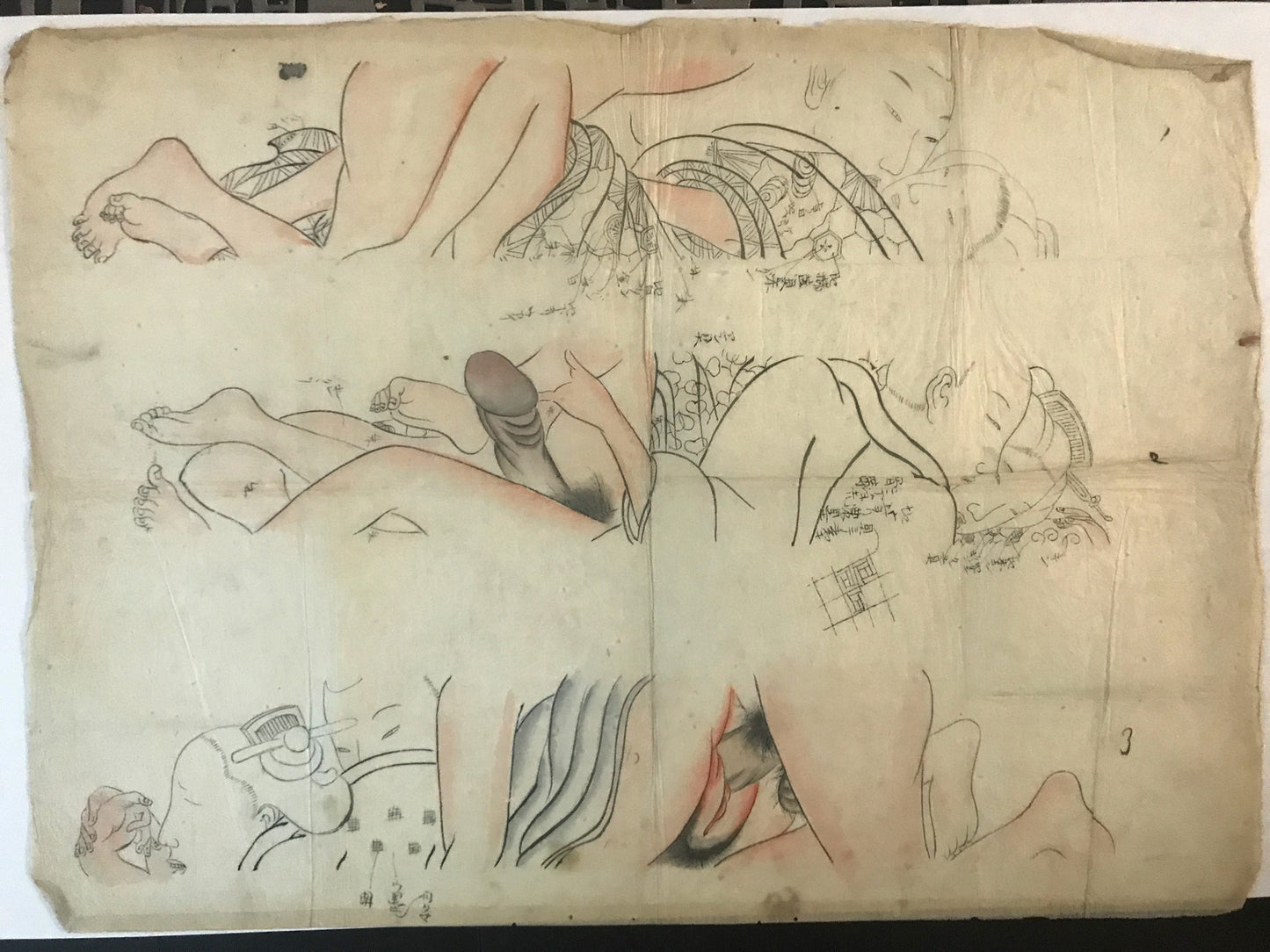 Shunga Color Guides